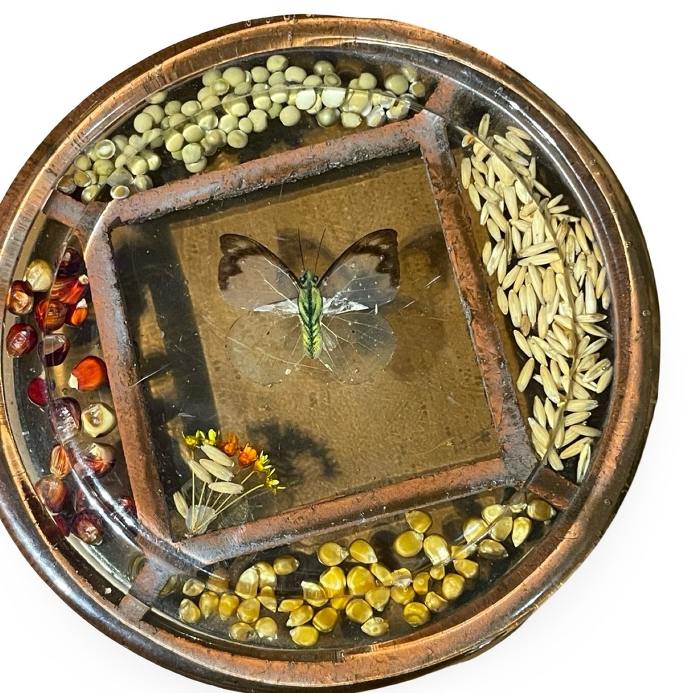 VTG Lucite Butterfly & Grains Footed Round‎ Trivet boho festival hippie retro